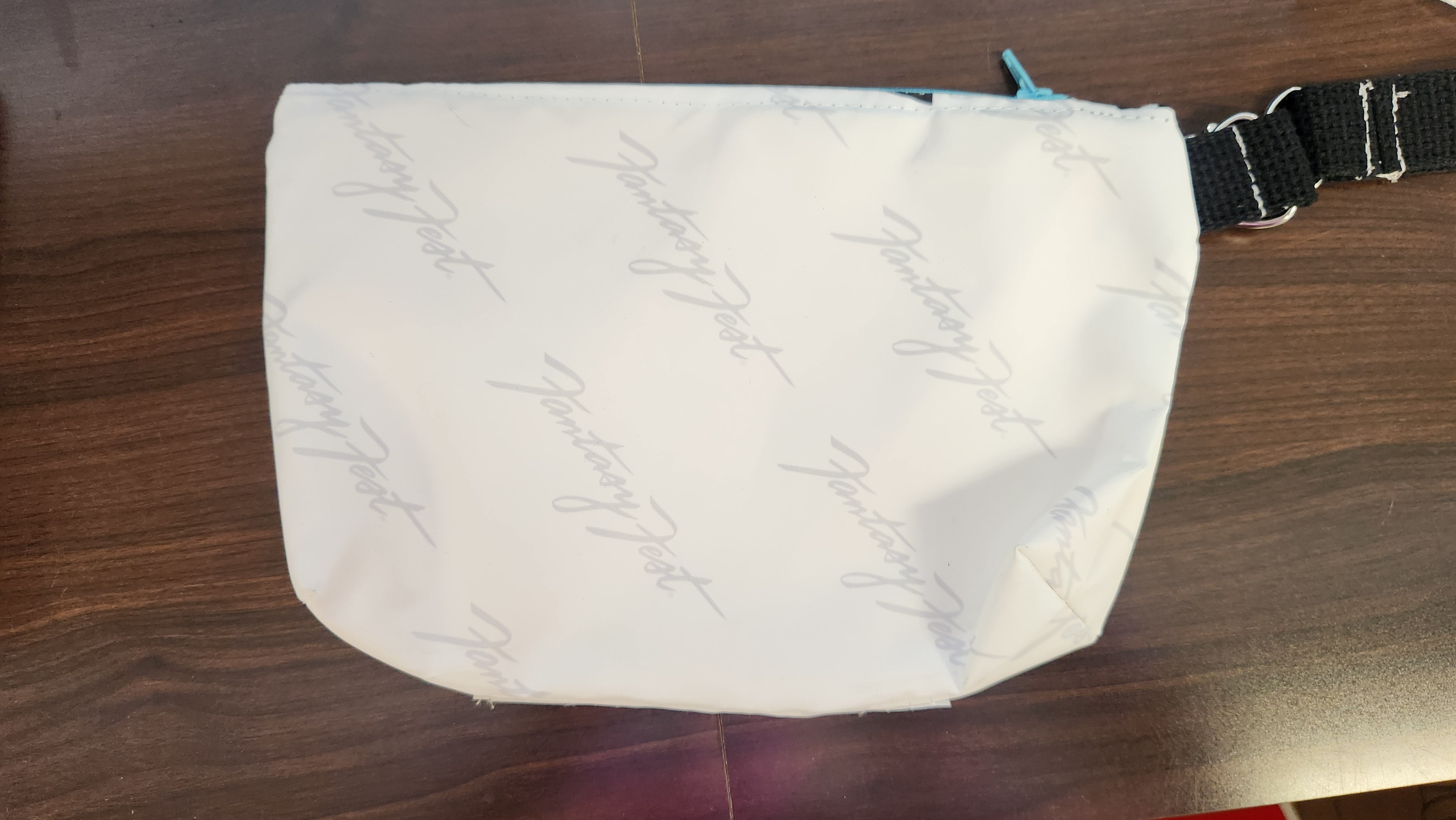 Wristlet 2 Cosmic Carnival 2024 FF